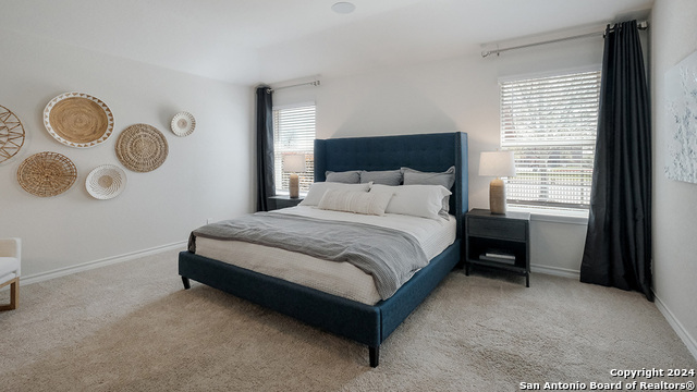 227 Squacco Heron, San Antonio, Texas image 11