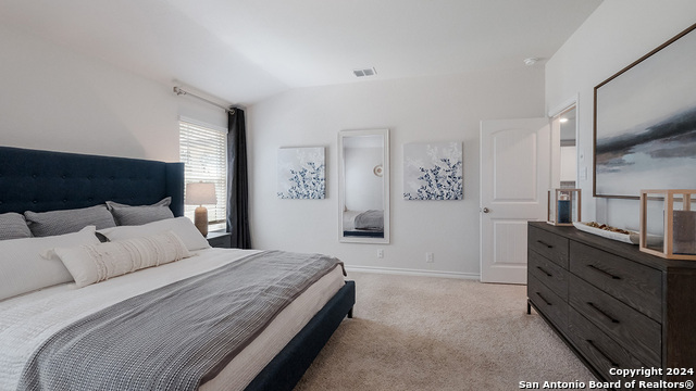 227 Squacco Heron, San Antonio, Texas image 12