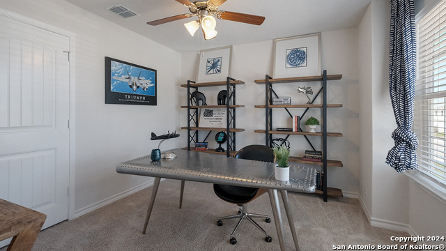 227 Squacco Heron, San Antonio, Texas image 16