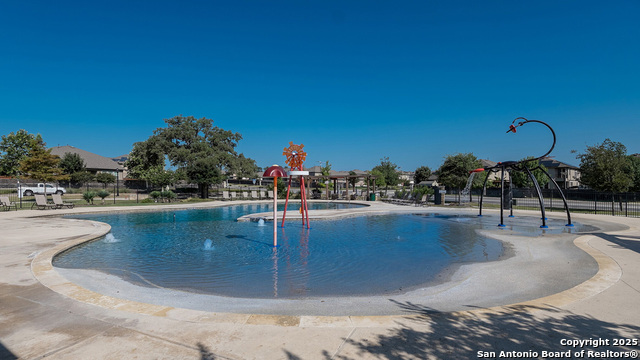 227 Squacco Heron, San Antonio, Texas image 31