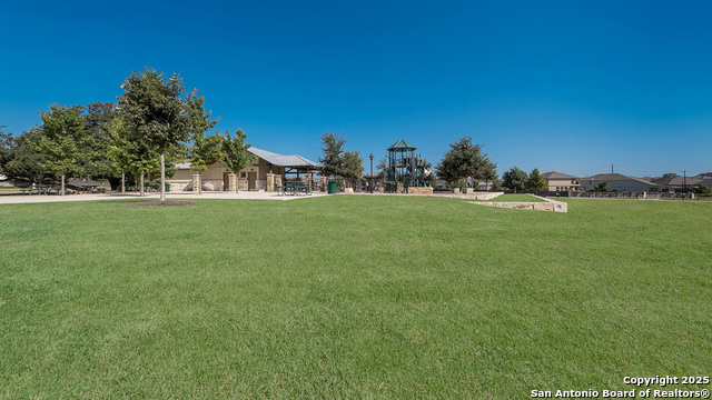 227 Squacco Heron, San Antonio, Texas image 39