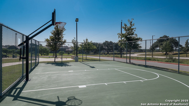 227 Squacco Heron, San Antonio, Texas image 42