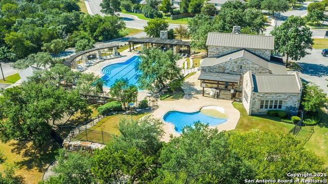 227 Squacco Heron, San Antonio, Texas image 44