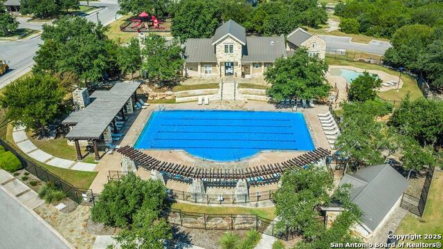 227 Squacco Heron, San Antonio, Texas image 46