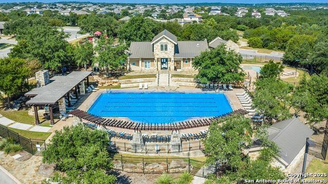 227 Squacco Heron, San Antonio, Texas image 47