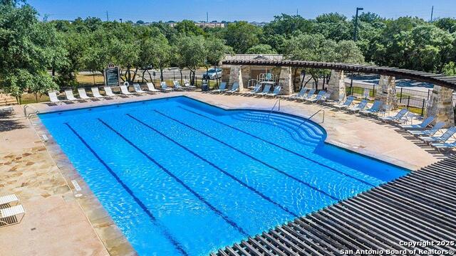 227 Squacco Heron, San Antonio, Texas image 48