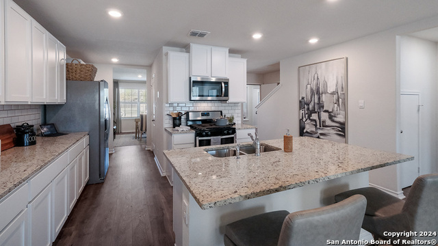 227 Squacco Heron, San Antonio, Texas image 5