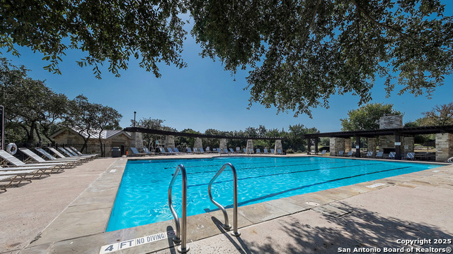 227 Squacco Heron, San Antonio, Texas image 50