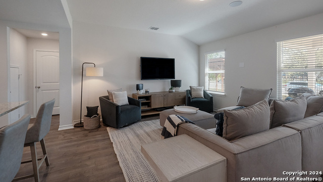227 Squacco Heron, San Antonio, Texas image 7
