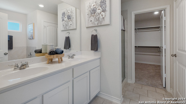 227 Squacco Heron, San Antonio, Texas image 9