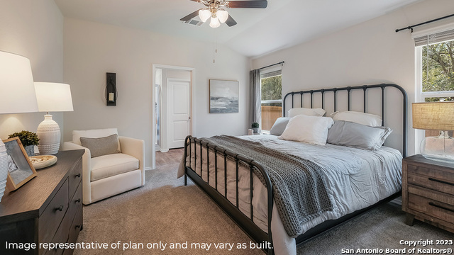 296 Pigeon Green, San Antonio, Texas image 13