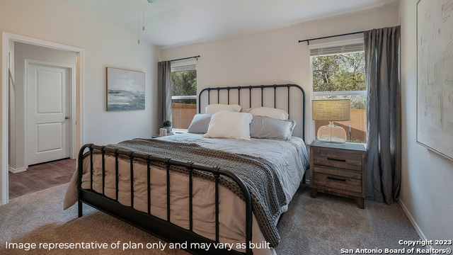 296 Pigeon Green, San Antonio, Texas image 14