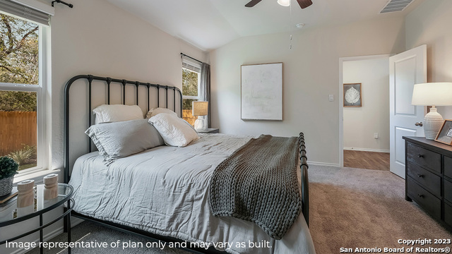 296 Pigeon Green, San Antonio, Texas image 15