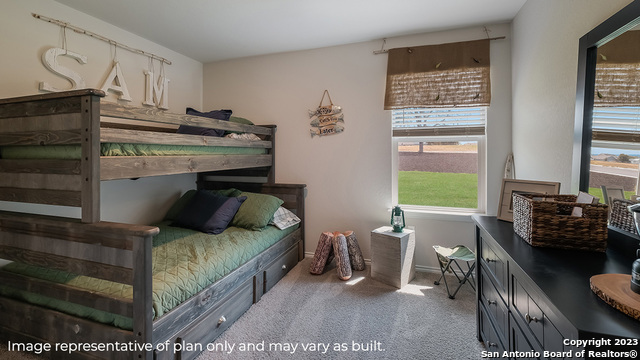 296 Pigeon Green, San Antonio, Texas image 20