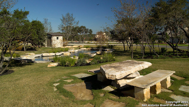 296 Pigeon Green, San Antonio, Texas image 25