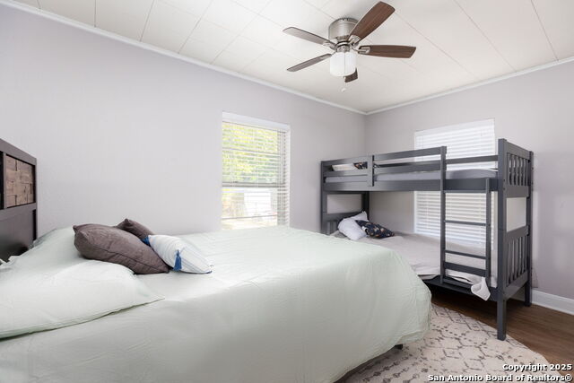 465 E Mather, New Braunfels, Texas image 7