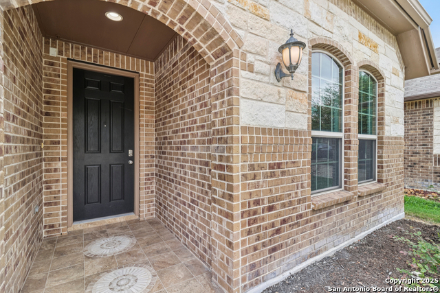 10618 Alys Way, San Antonio, Texas image 3