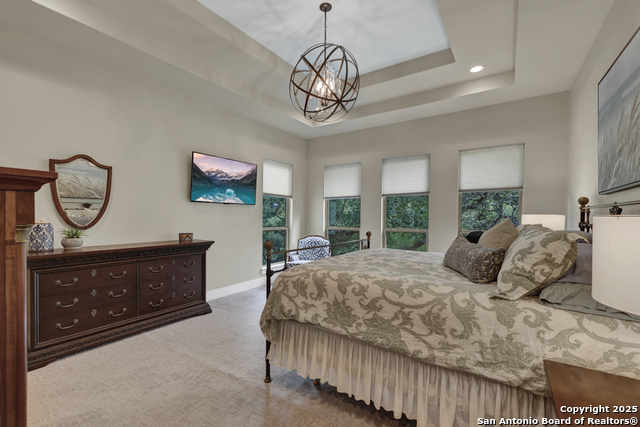 1636 Blush, New Braunfels, Texas image 36