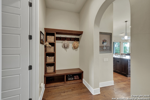 1636 Blush, New Braunfels, Texas image 43