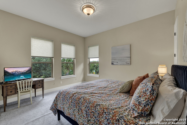1636 Blush, New Braunfels, Texas image 46