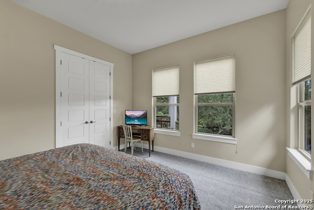 1636 Blush, New Braunfels, Texas image 47