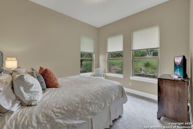 1636 Blush, New Braunfels, Texas image 48