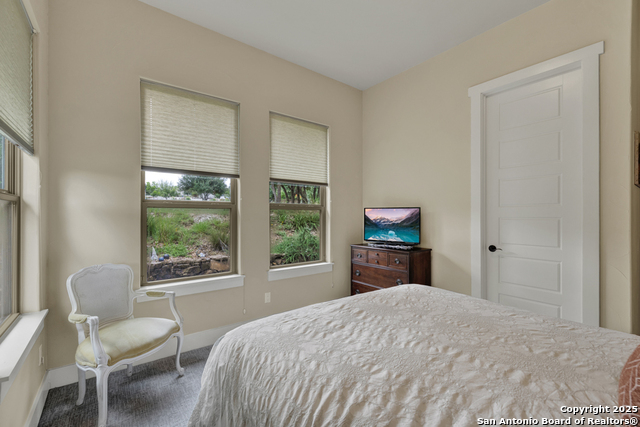 1636 Blush, New Braunfels, Texas image 49