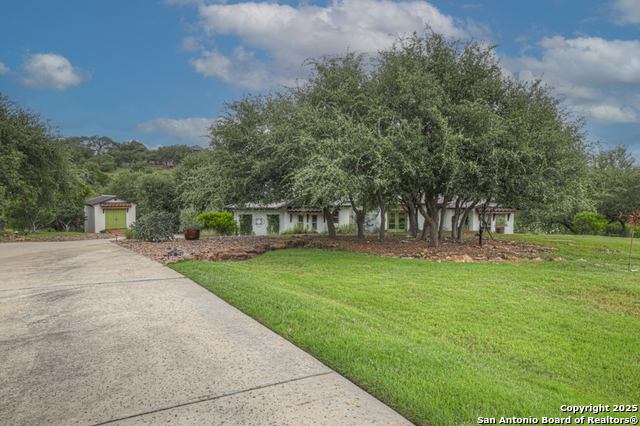 1636 Blush, New Braunfels, Texas image 6