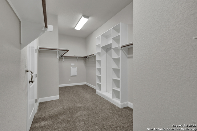 1320 Trentino, New Braunfels, Texas image 38