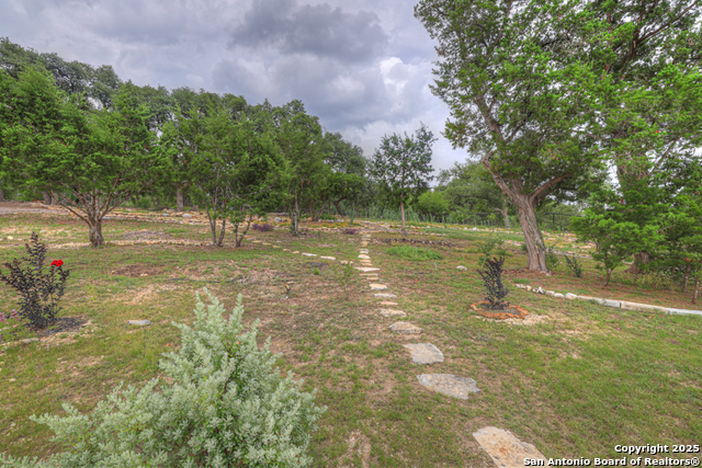 1320 Trentino, New Braunfels, Texas image 44