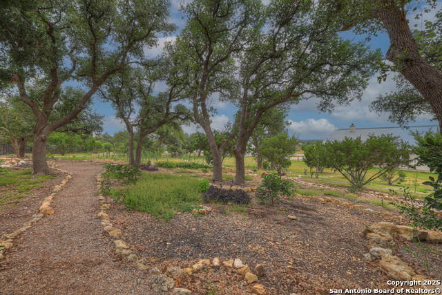 1320 Trentino, New Braunfels, Texas image 47