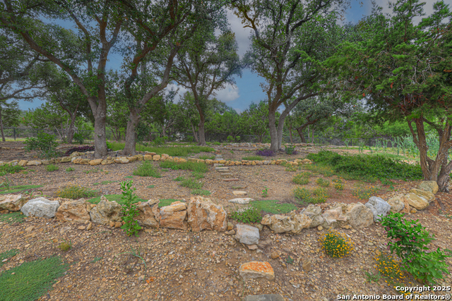 1320 Trentino, New Braunfels, Texas image 48