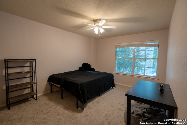 519 Donalan, Converse, Texas image 13