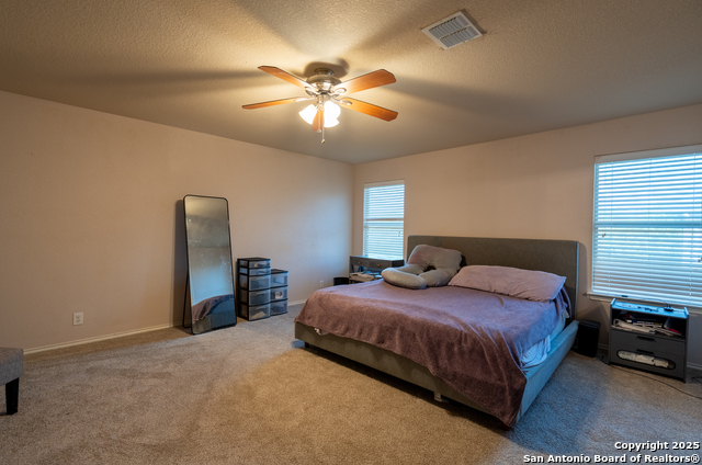 519 Donalan, Converse, Texas image 15