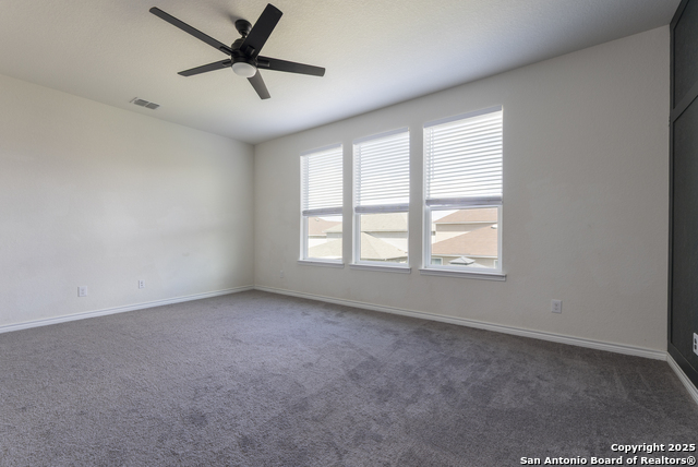 521 Landmark Bluff, Cibolo, Texas image 18