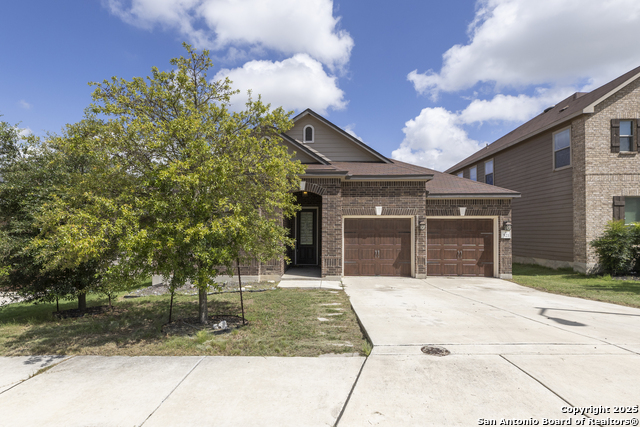 521 Landmark Bluff, Cibolo, Texas image 2