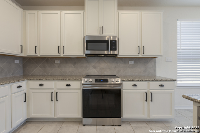 521 Landmark Bluff, Cibolo, Texas image 5