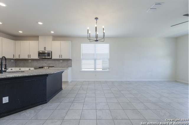 521 Landmark Bluff, Cibolo, Texas image 8