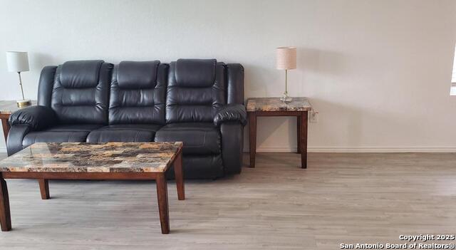 2942 Green Finch, New Braunfels, Texas image 3