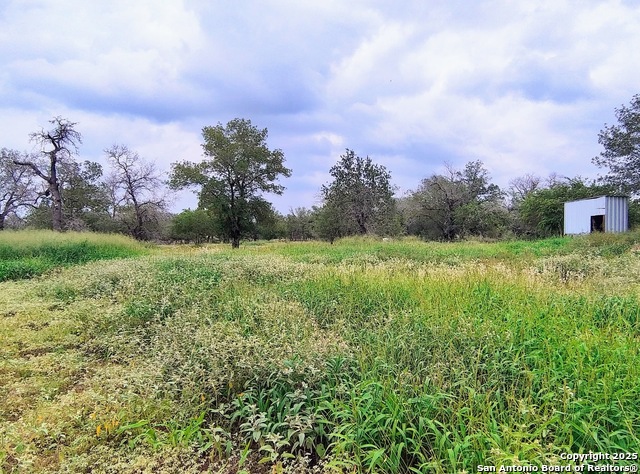 1720 River Oaks, Poteet, Texas image 1