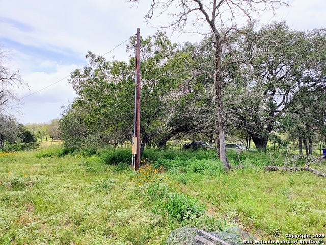 1720 River Oaks, Poteet, Texas image 2