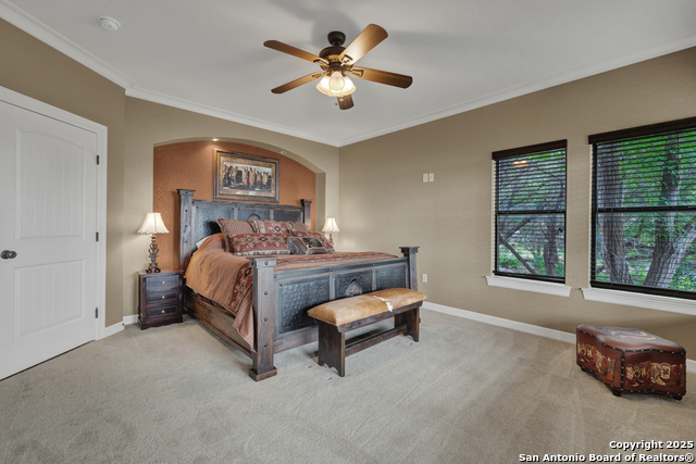 1746 Stagecoach, Canyon Lake, Texas image 13