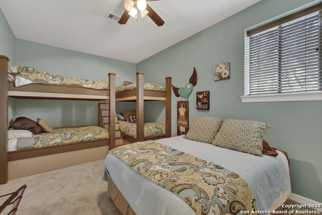 1746 Stagecoach, Canyon Lake, Texas image 20