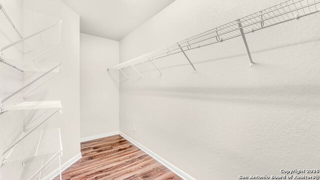 7951 Brinson, Converse, Texas image 16