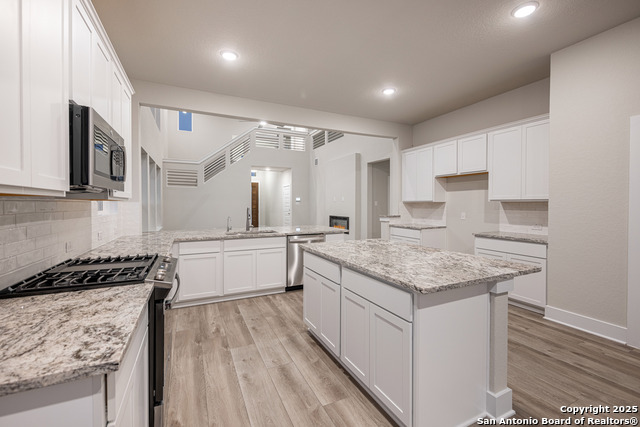 121 Cherrybark Oak, Castroville, Texas image 11