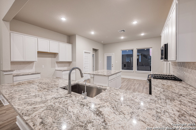 121 Cherrybark Oak, Castroville, Texas image 12