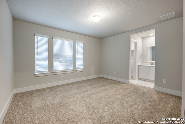 121 Cherrybark Oak, Castroville, Texas image 18
