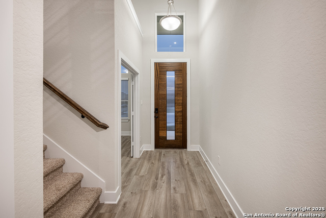 121 Cherrybark Oak, Castroville, Texas image 6