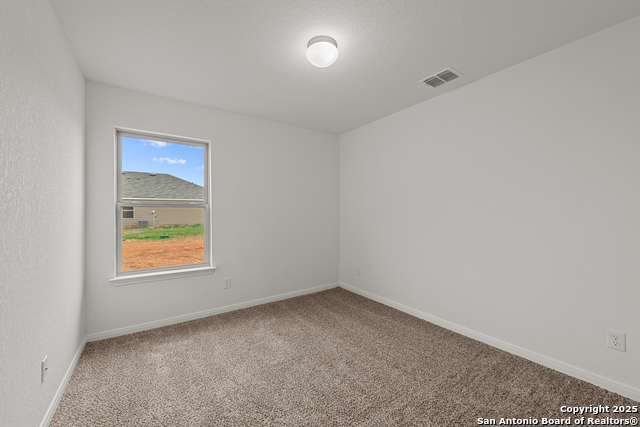 1141 Limestone Ridge, Seguin, Texas image 10