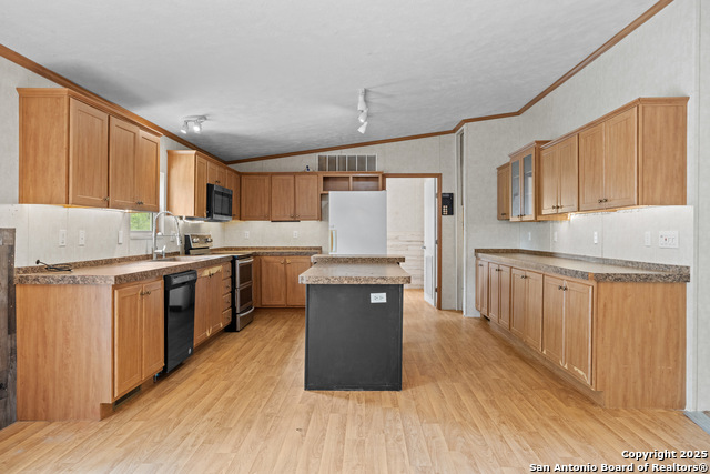 1100 Big Leaf, San Antonio, Texas image 11